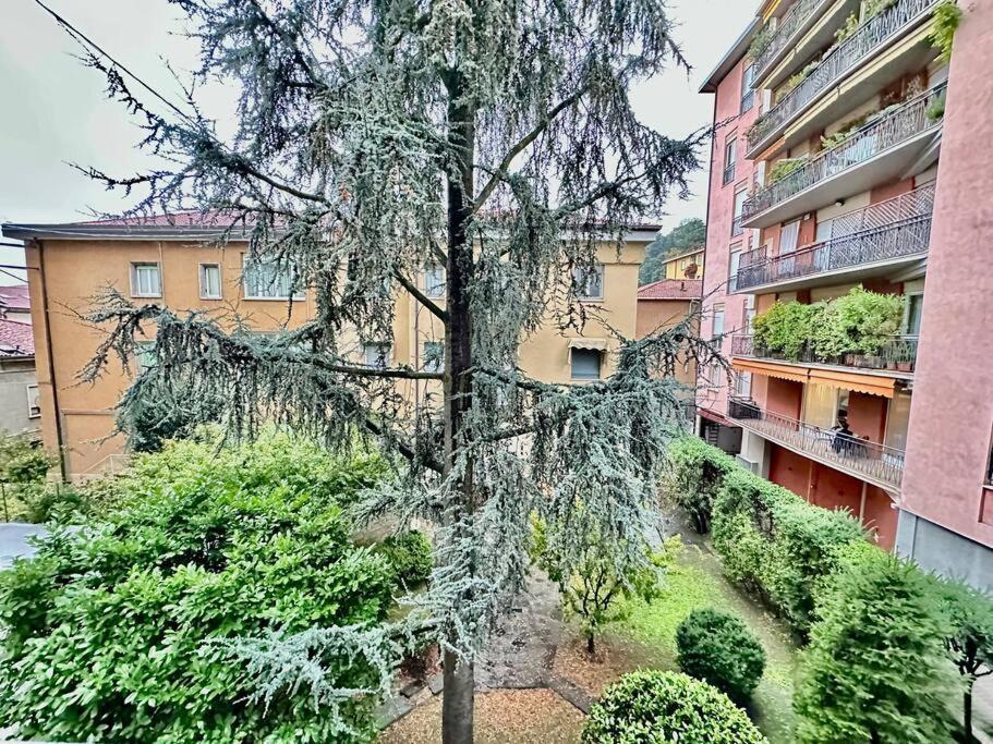 Apartament Luxury House Near The Funicular